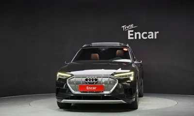 Audi e-tron 2020, 137902 км, за 25175.67 USD