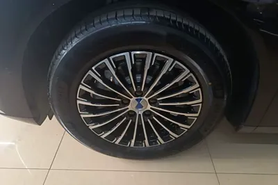Denza D9