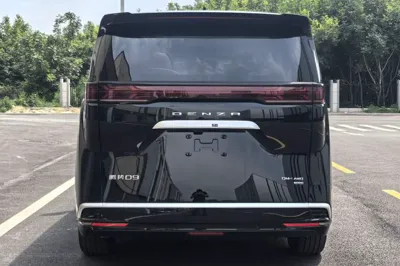 Denza D9