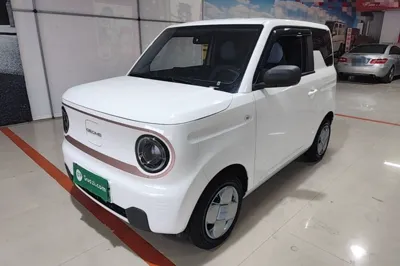 Geely Galaxy Panda · 2024 год