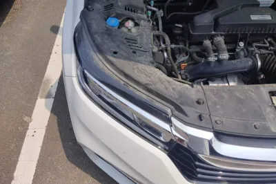 Honda Avancier 2020, 51100 км, за 17900 USD - фото 23