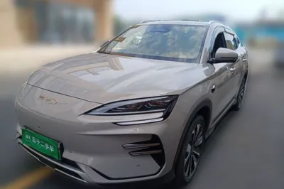BYD Song PLUS New Energy · 2025 год