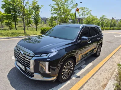 Hyundai Palisade · 2023 год