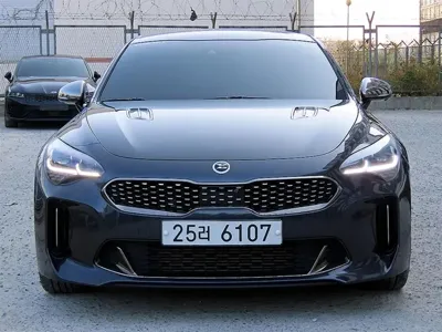 Kia Stinger 2019, 120868 км, за 11225.63 USD