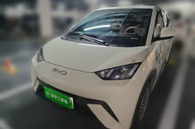 BYD Seagull · 2024 год
