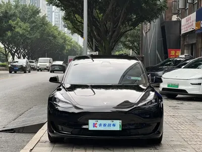 Tesla Model 3 2023, 69000 км, за 20423.38 USD
