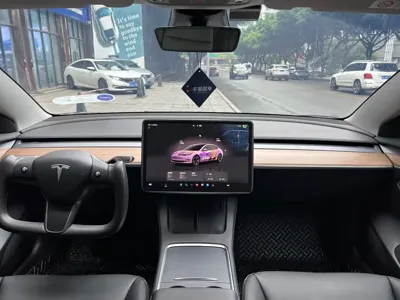 Tesla Model 3 2023, 69000 км, за 20423.38 USD - фото 10