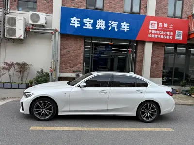 BMW 3 Series 2022, 105000 км, за 14684.82 USD - фото 8