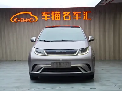 BYD Dolphin 2022, 54000 км, за 8210.55 USD