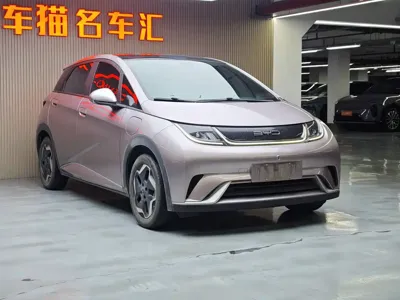 BYD Dolphin 2022, 54000 км, за 8210.55 USD