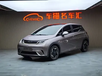 BYD Dolphin 2022, 54000 км, за 8210.55 USD