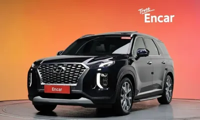Hyundai Palisade · 2020 год