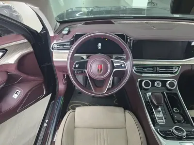 Hongqi Hongqi H9 2021, 52900 км, за 22886.42 USD - фото 17