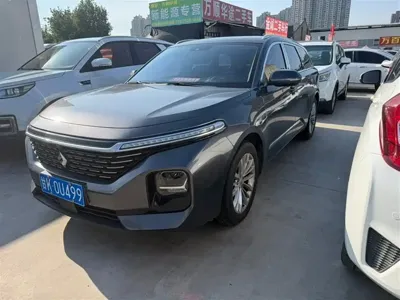 Baojun Valli · 2022 год