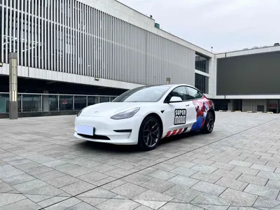 Tesla Model 3 · 2021 год