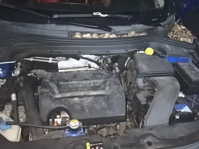 Haval H2s 2017, 57600 км, за 2861.17 USD - фото 10