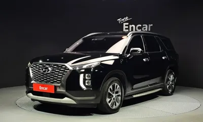 Hyundai Palisade · 2019 год