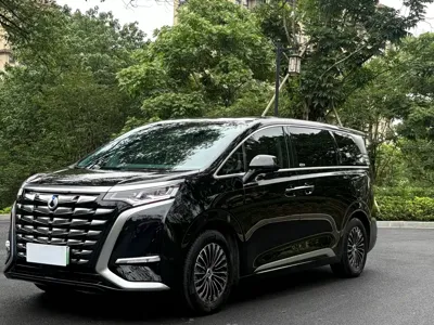Denza Denza D9 · 2023 год