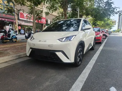 BYD Seagull · 2023 год