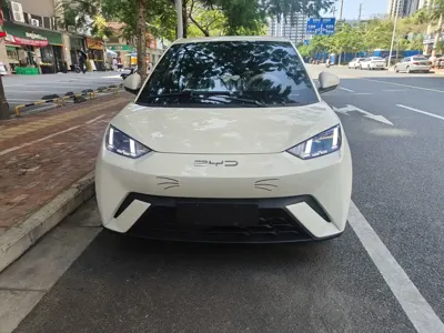 BYD Seagull 2023, 15300 км, за 8210.55 USD