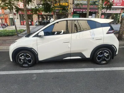 BYD Seagull 2023, 15300 км, за 8210.55 USD