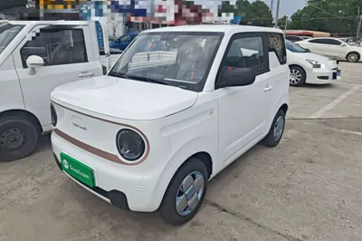 Geely Galaxy Panda · 2024 год