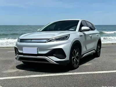 BYD Yuan Plus · 2024 год