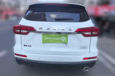 Haval M6 2019, 50800 км, за 6325 USD