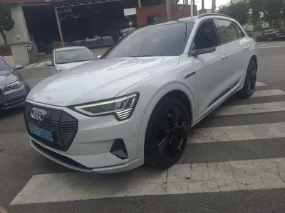 Audi e-tron 2022, 87346 км, за 28882.76 USD - фото 11