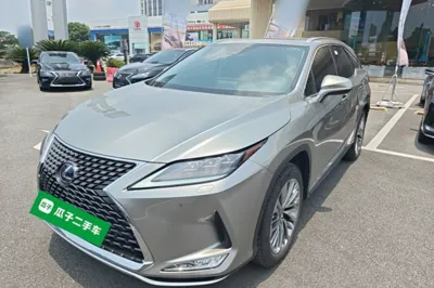 Lexus RX · 2020 год