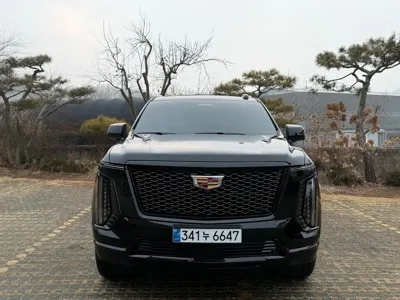 Cadillac Escalade 2025, 1195 км, за 117500.33 USD
