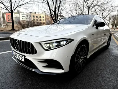 Mercedes-Benz CLS-Class · 2019 год