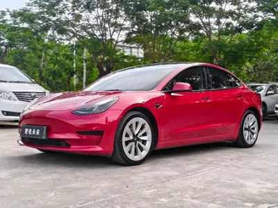 Tesla Model 3 · 2021 год