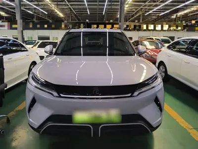 BYD Yuan Up 2024, 15500 км, за 10550.48 USD