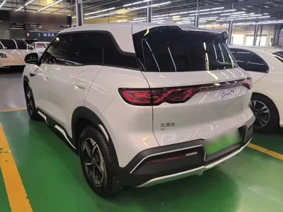 BYD Yuan Up 2024, 15500 км, за 10550.48 USD