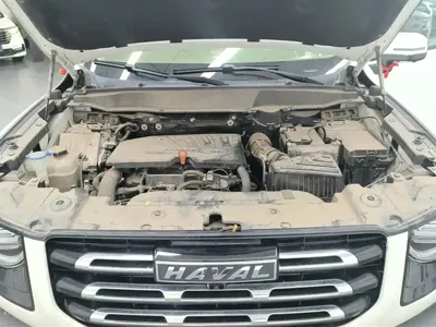 Haval Big Dog 2022, 21900 км, за 11068.14 USD - фото 10