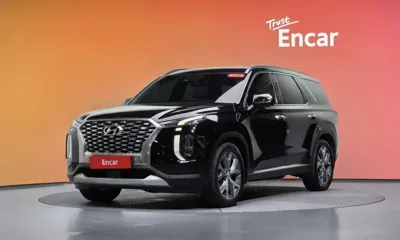 Hyundai Palisade · 2019 год