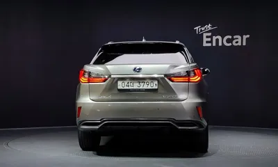 Lexus RX 2019, 74238 км, за 32551.92 USD