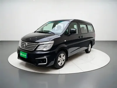 Fengxing Lingzhi · 2019 год