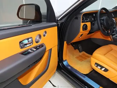 Rolls-Royce Cullinan 2025, 7100 км, за 806341.04 USD - фото 16