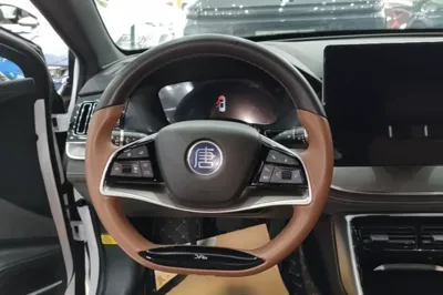 BYD Tang New Energy 2023, 35600 км, за 18054 USD - фото 13