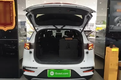 BYD Tang New Energy 2023, 35600 км, за 18054 USD - фото 22