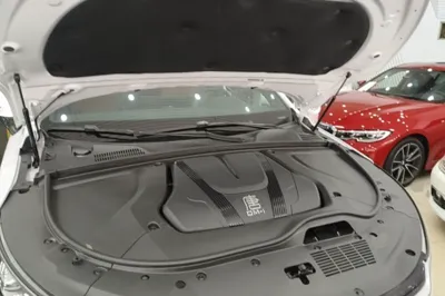 BYD Tang New Energy 2023, 35600 км, за 18054 USD - фото 24