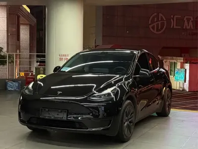 Tesla Model Y · 2023 год