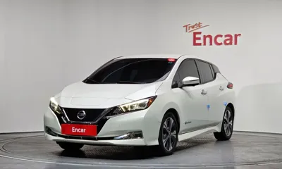 Nissan Leaf · 2019 год