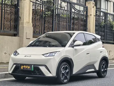 BYD Seagull · 2024 год