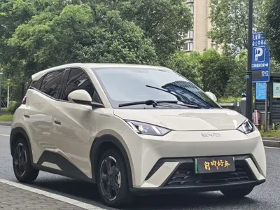 BYD Seagull 2024, 21000 км, за 7271.68 USD