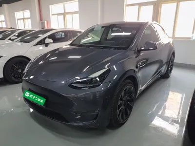 Tesla Model Y · 2022 год