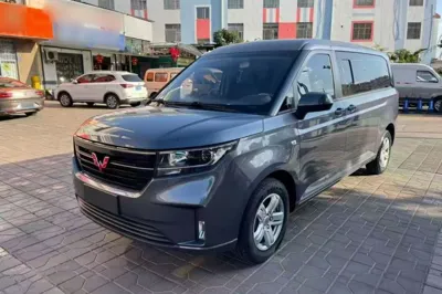 Wuling Zhengcheng · 2021 год