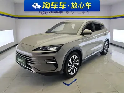 BYD PLUS New Energy · 2024 год